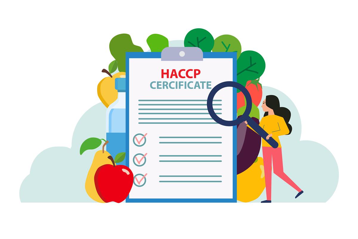 Export PDF HACCP